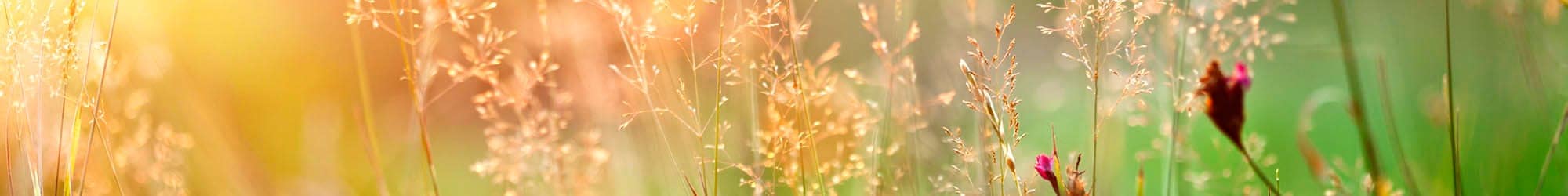 Assisted living in Midwest City