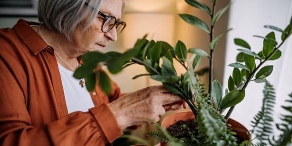 Resident tending to the plants in her apartment at a WISH community