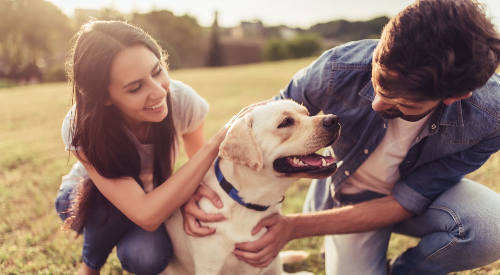 Pet Friendly | Broadstone in San Antonio, Texas