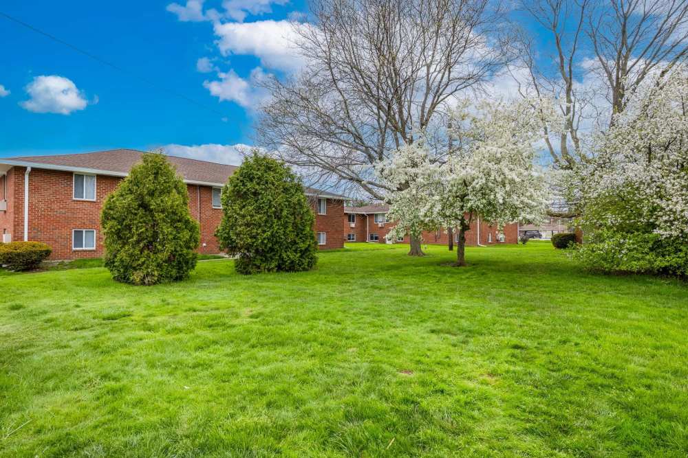 Lush greenery at Poplar Gardens in Rochester, New York