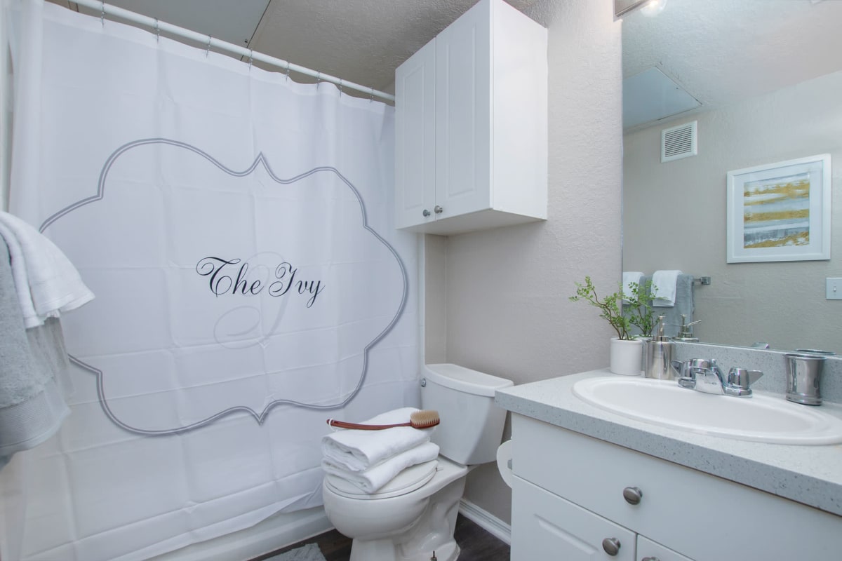 Clean and sleek looking bathroom with a large vanity mirror and a shower at The Ivy in Tampa, Florida