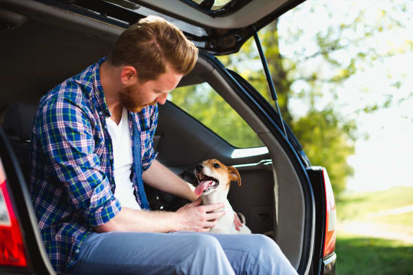 Pet friendly apartments in El Paso