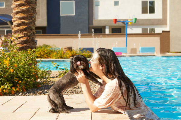 Resident kissing with her cute dog in the pool at Las Casas at Windrose in Litchfield Park, Arizona