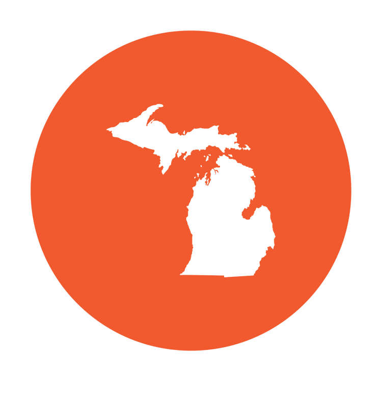 Custom graphics for michigan state orange