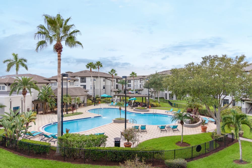 A large pool with landscaping at Verandahs of Brighton Bay in St. Petersburg, Florida