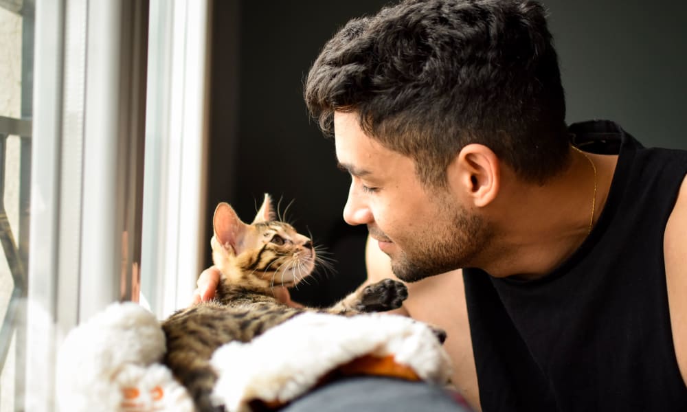 Resident petting his cat at Northfield Townhouses in West Orange, New Jersey