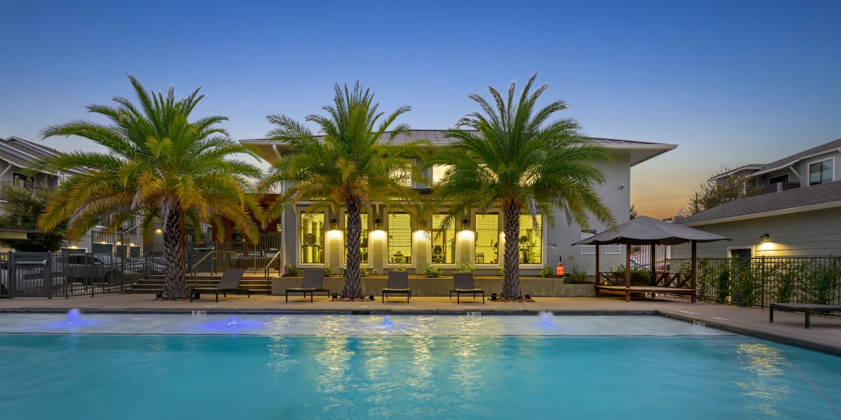 Sparkling pool with palm trees behind Marquis SoCo in Austin, lsn