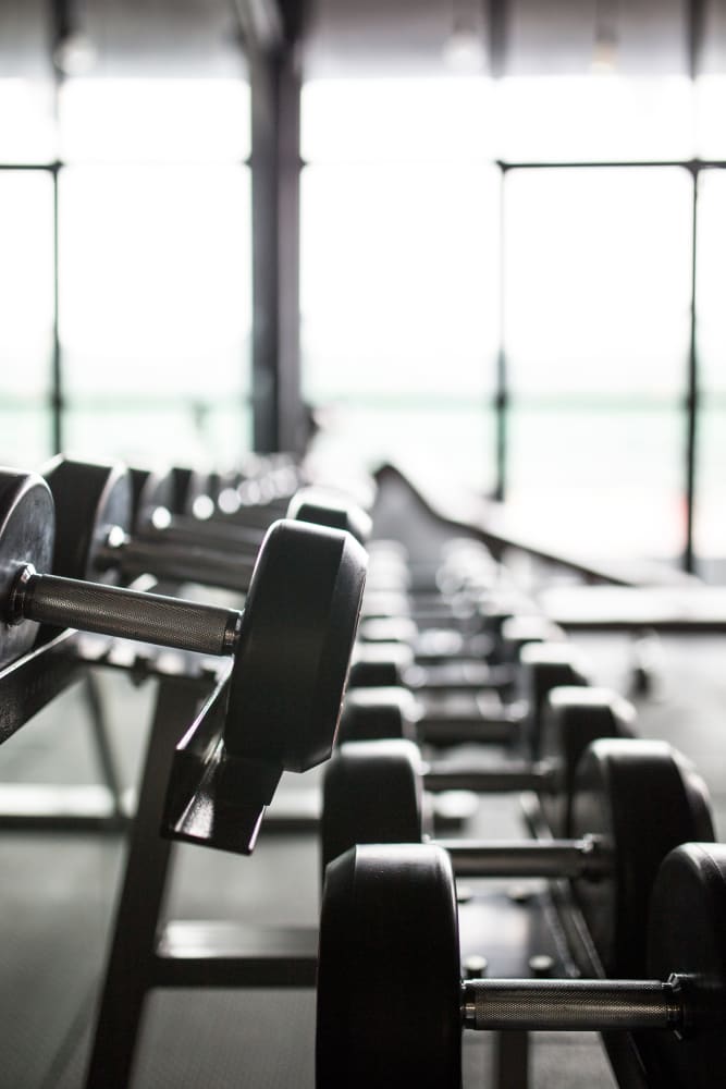 Fitness center equipment in our gym at Market Flats in Bethlehem, Pennsylvania