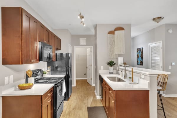 Kitchen and cabinetry with stone counters at Westshore Palms in Panama City, Florida