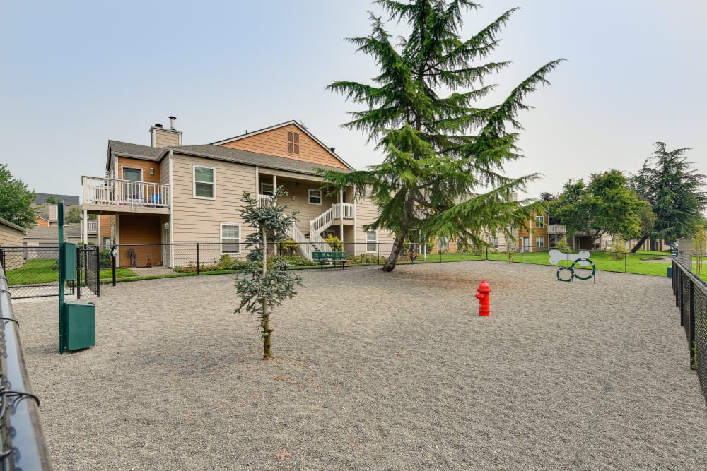 Outdoor park for dogs to run around in at Carriage Park Apartments in Vancouver, Washington