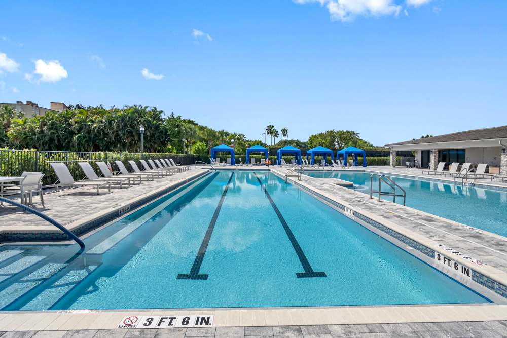 Resort-style sparkling pool with lounge chairs and cabanas under clear blue sky at Solera at Avalon Trails in Delray Beach, Florida