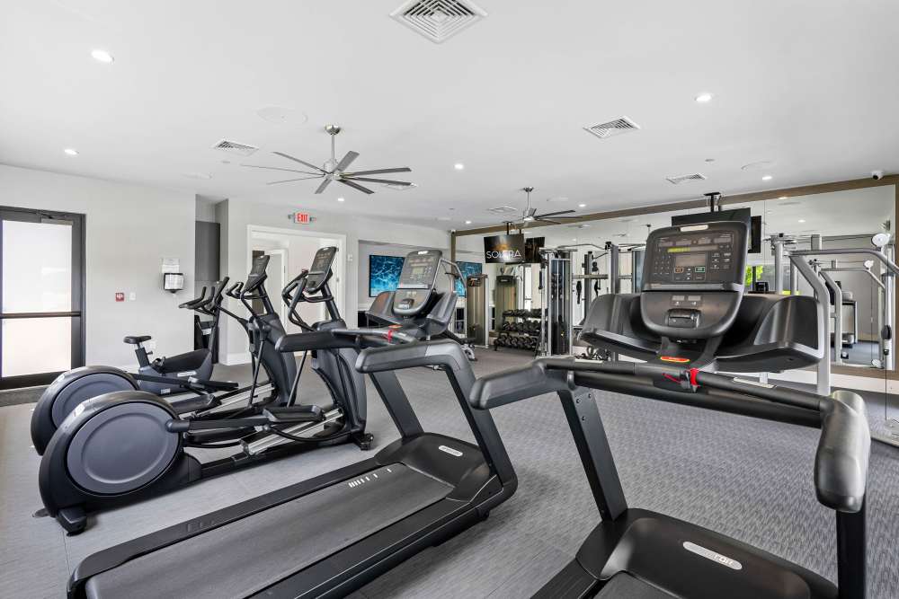 Modern fitness center with treadmills, ellipticals, and free weights in bright, inviting space at Solera at Avalon Trails in Delray Beach, Florida