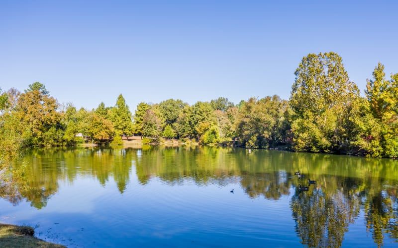 reflective pond at Edge at Lakeview in Memphis, Tennessee