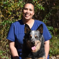 Ann Christmas at North Paw Animal Hospital in Durham, North Carolina