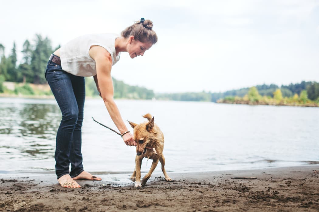 Resident and her dog playing near Sterling Pointe in Flagstaff, AZ