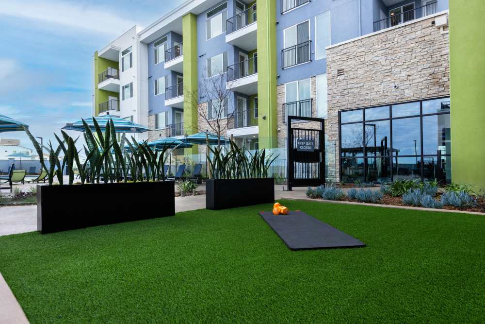 Outdoor recreation area with green lawn at Zeta Luxury Apartments in Sacramento, California