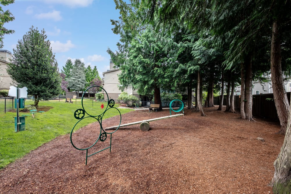 Have fun with your furry friend in the dog park at Latitude Apartments in Everett, Washington