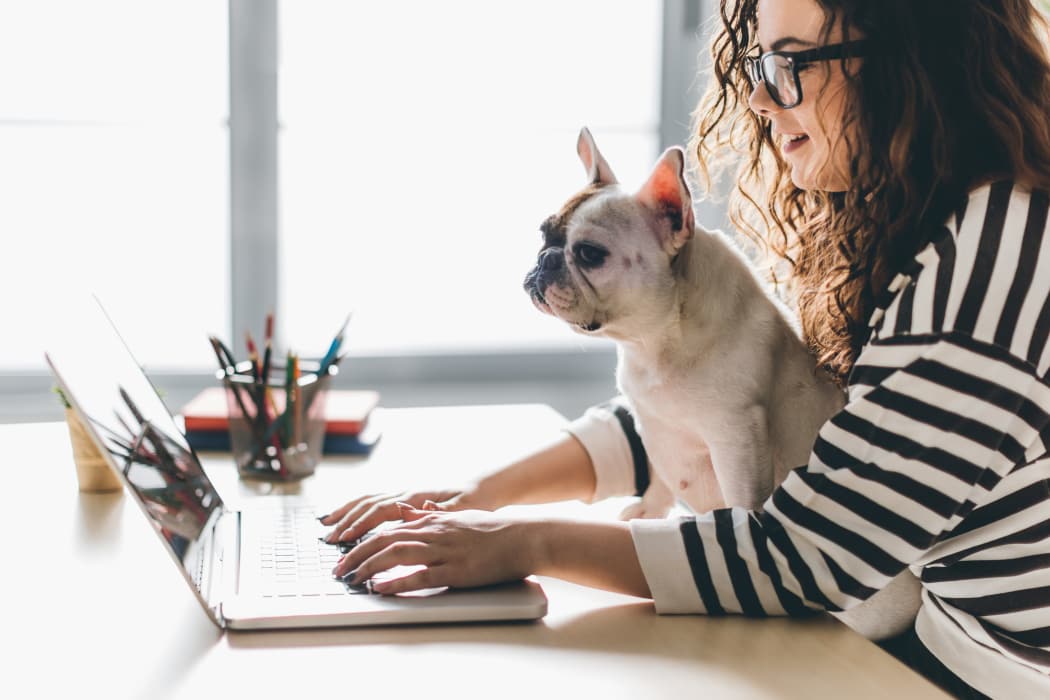 Resident and her dog surfing the web at Windsail Apartments in Tulsa, Oklahoma