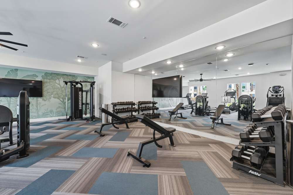Fitness center at Wilton Palm Coast in Palm Coast, Florida