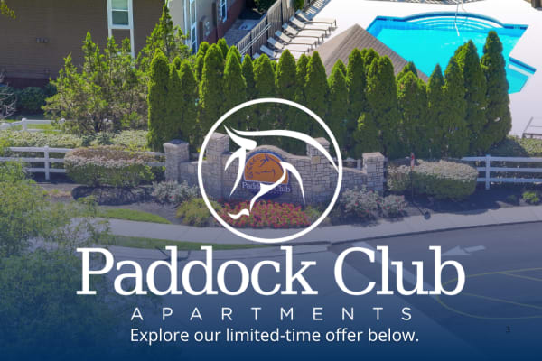 Paddock Club Apartments Promotional Leasing Special in Florence, Kentucky