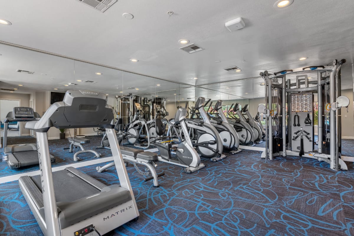 Fully equipped fitness center with treadmills, bike machines, and multi-workout machines at Alante at the Islands in Chandler, Arizona