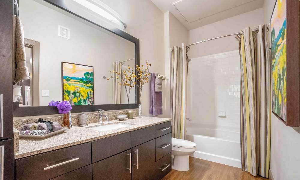Bathroom with a dark vanity unit and a mirror at Grapevine Station in Grapevine,Texas