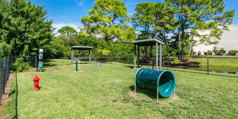 Dog park at Trellis at the Lakes in St. Petersburg, Florida