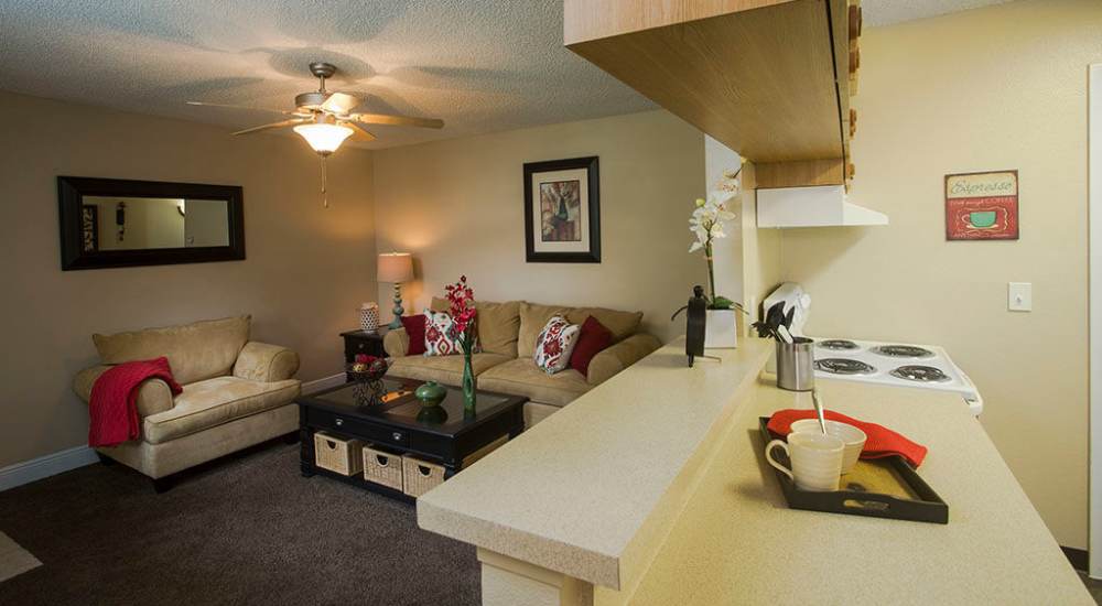 Charming living space featuring a cozy seating area and a modern kitchen at Park Place Apartments in Port Richey, Florida. 