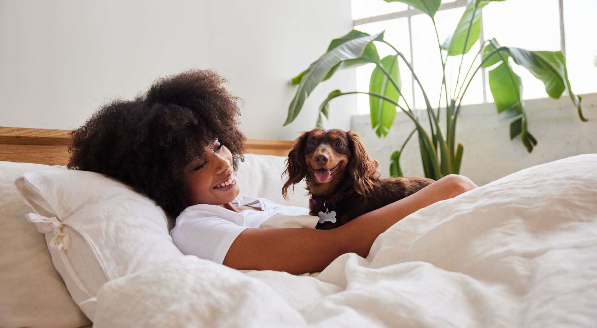 Pet Friendly | Ashley Oaks in Charleston, South Carolina