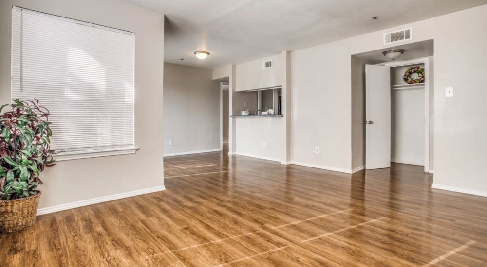 empty model apartment living room at The Declan in Dallas, Texas