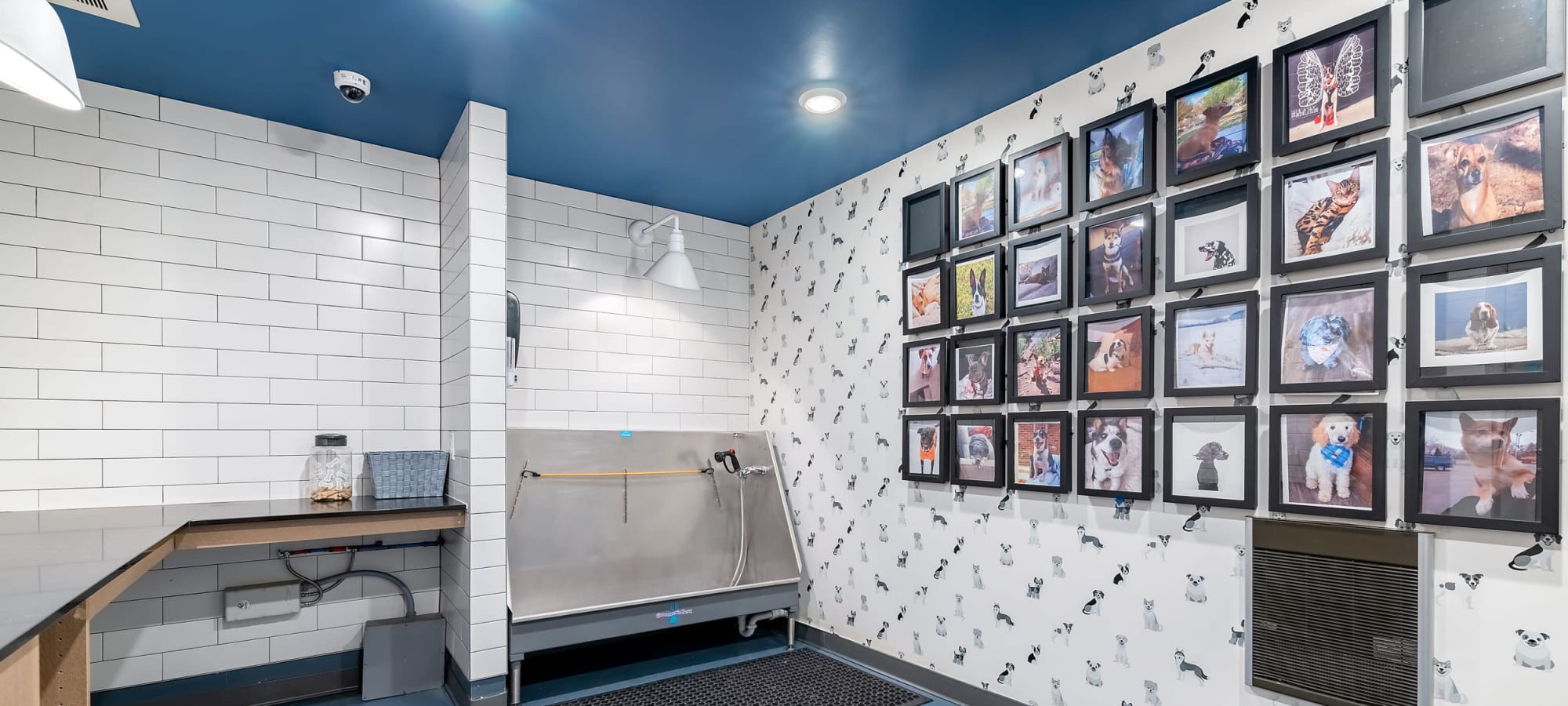 Pet policy at Marq Iliff Station in Aurora, Colorado