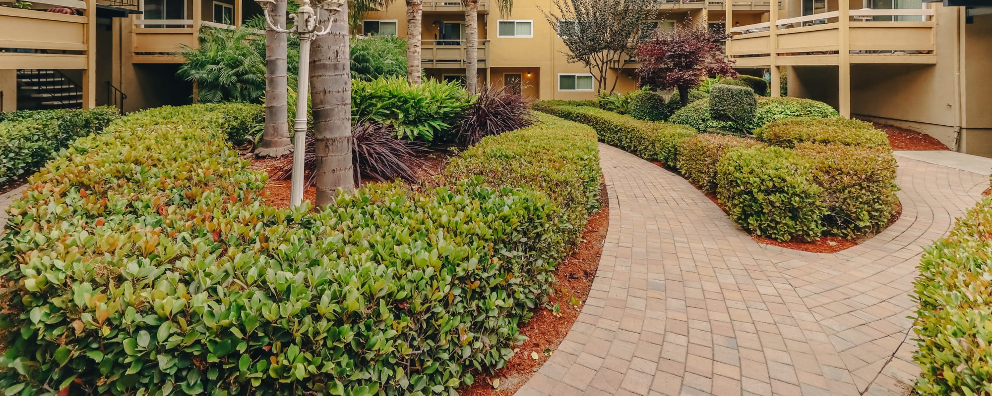 Pet-Friendly Apartments at Bayfair Apartments in San Lorenzo, California