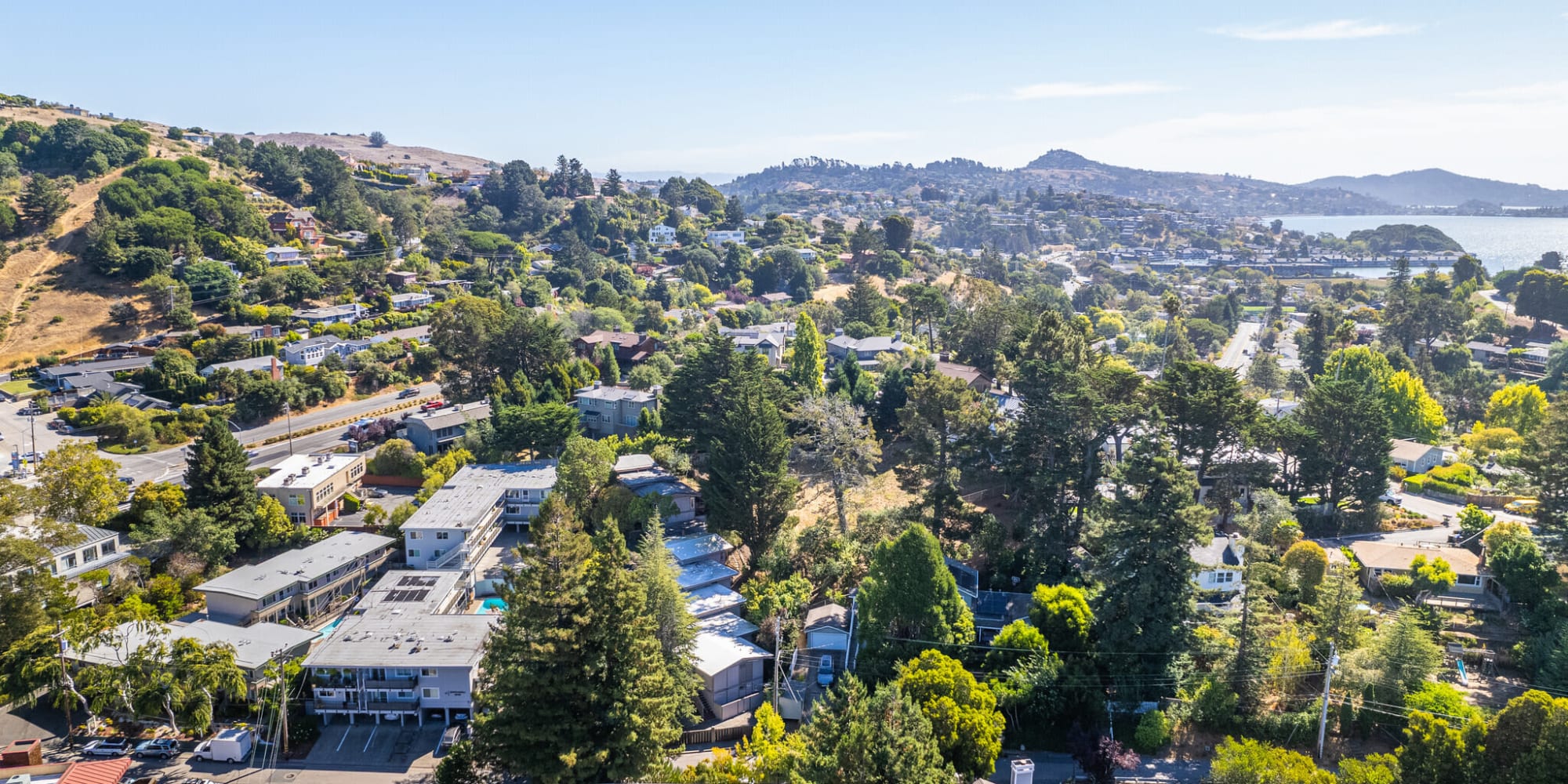 Aerial view with lots of trees at  South Knoll in Mill Valley, California