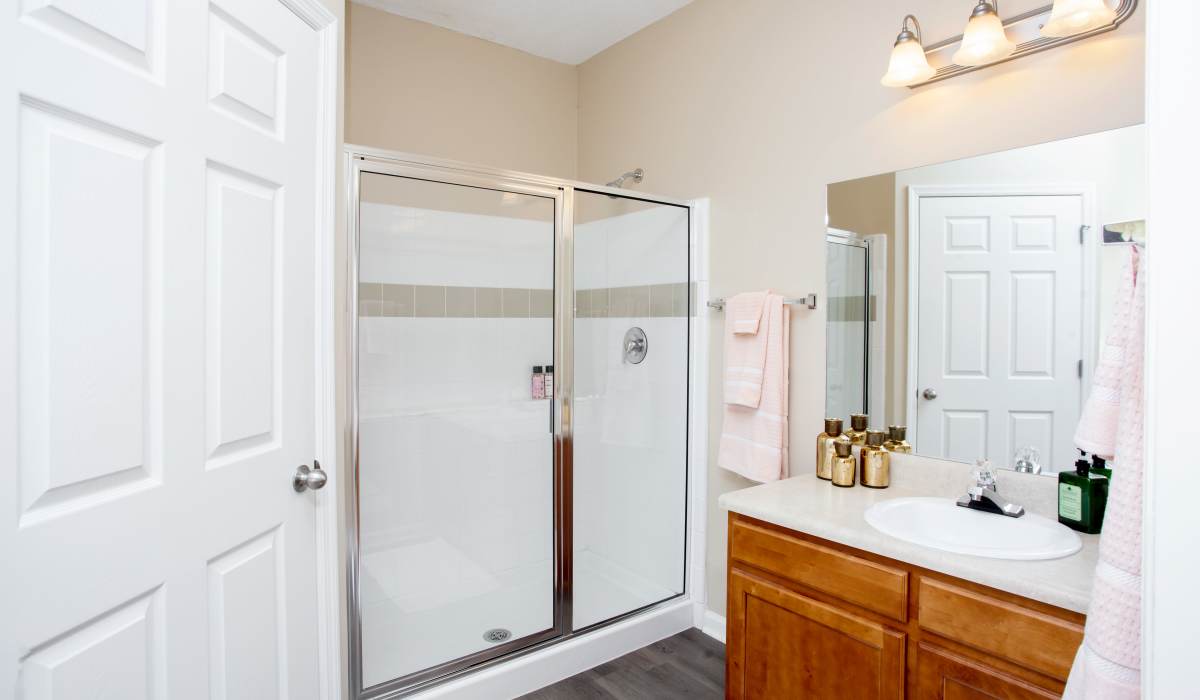 Morden bathroom with vanity light and bathtub at Madison Park in Madison, Alabama