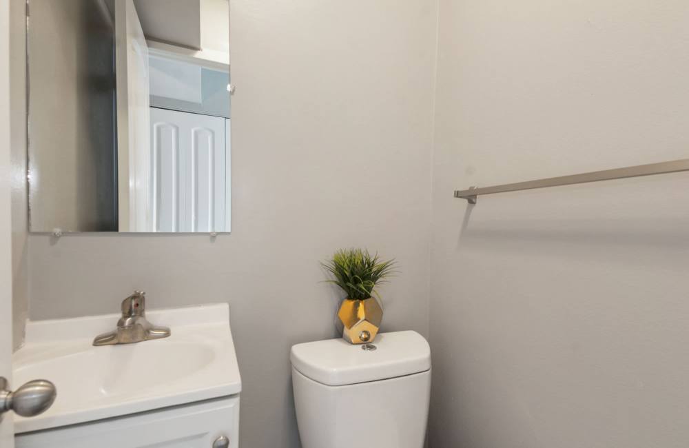 Modern bathroom with a sink, mirror, and decorative plant on the counter at Fairway Ridge in Baltimore, Maryland