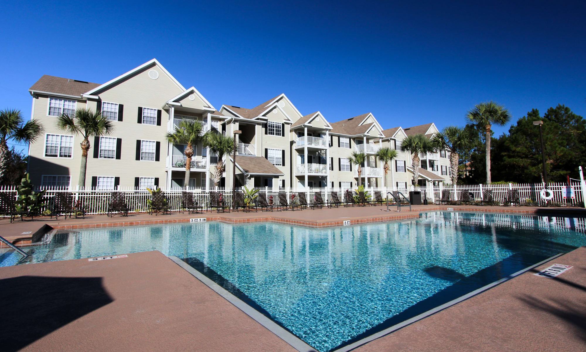Apartments in New Port Richey, FL