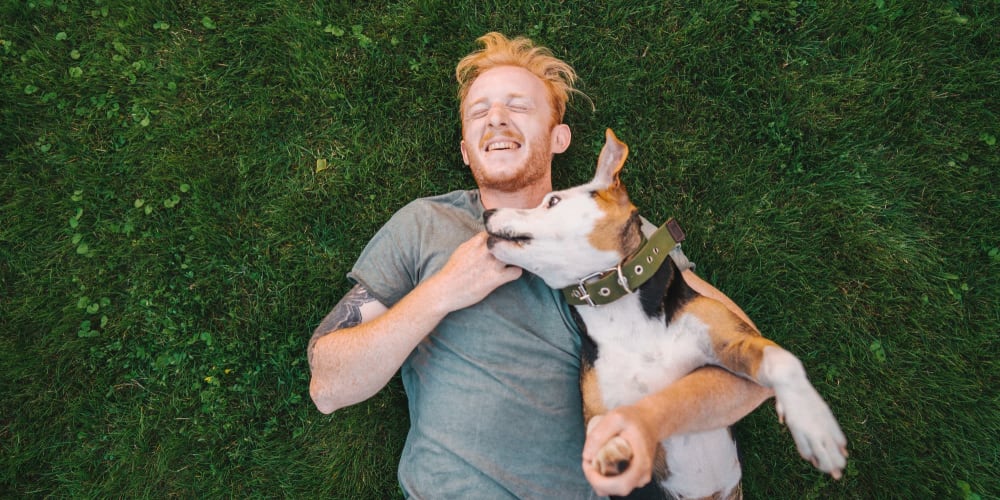 Resident taking a breather in the park with his dog after a run at Vista Creek Apartments in Castro Valley, California