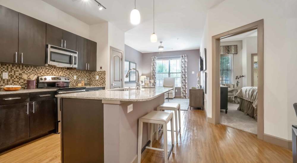 Modern kitchen with chocolate-colored cabinets at Grapevine Station in Grapevine, Texas