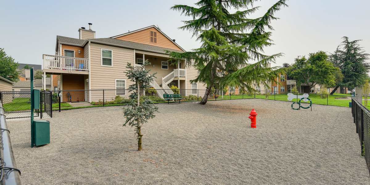 Outdoor park for dogs to run around in at Carriage Park Apartments in Vancouver, Washington