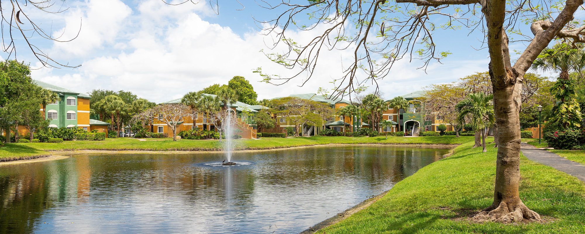 Pet-friendly apartments at Sanctuary Cove Apartments in West Palm Beach, Florida