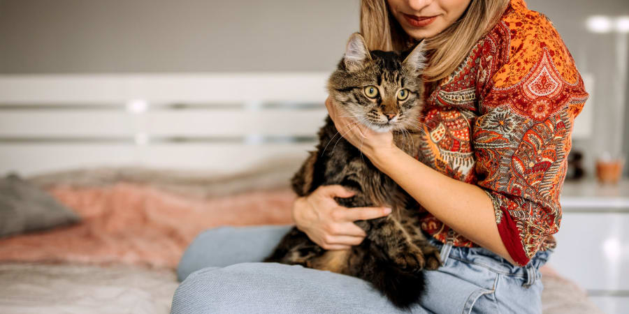 Resident hugging their cat at 28 Exeter at Newbury in Boston, Massachusetts