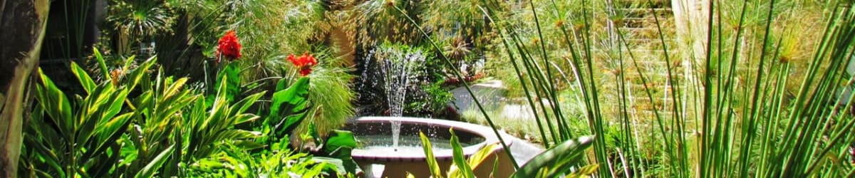 Pet friendly at Alura in Woodland Hills, California