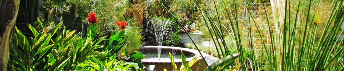 Photos of Alura in Woodland Hills, California