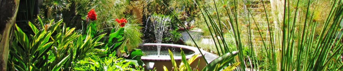 Amenities at Alura in Woodland Hills, California