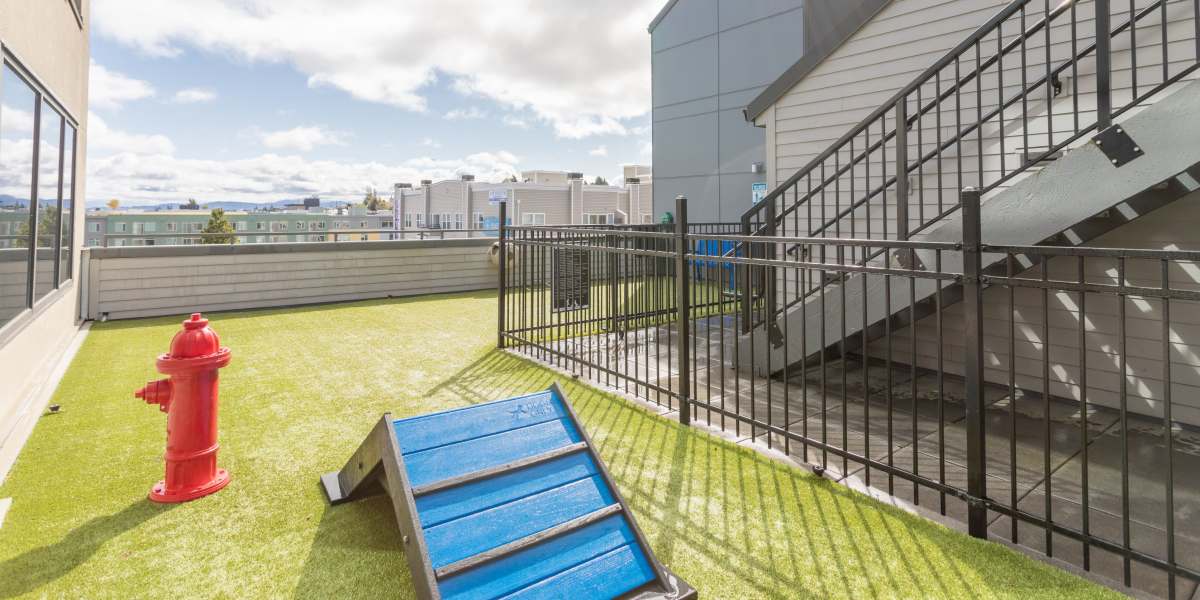 Bark park at pet-friendly Elan 41 Apartments in Seattle, Washington