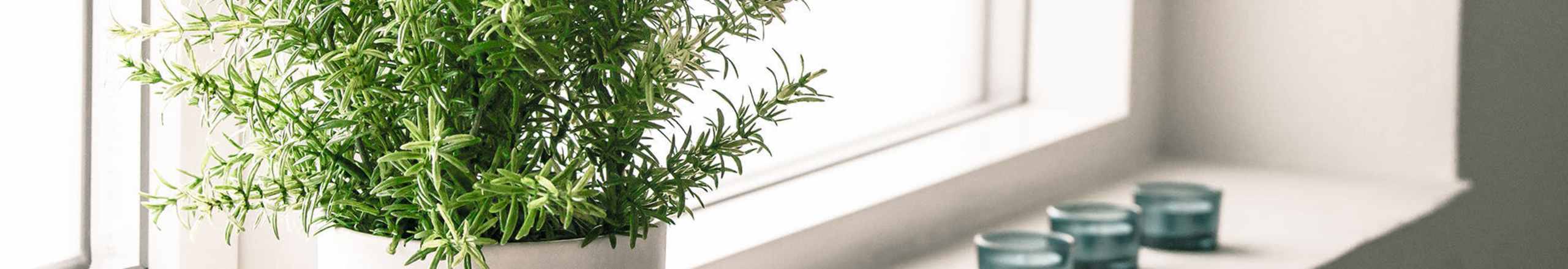 Gallery | Ingraham School in New Bedford, Massachusetts