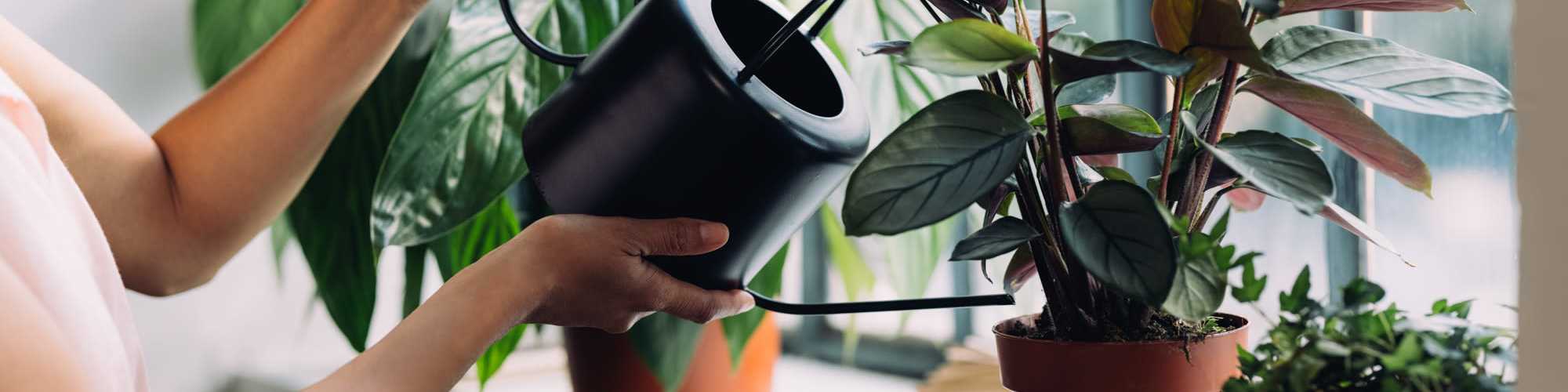 Privacy Policy | Mill Creek Apartments in Cross Plains, Wisconsin