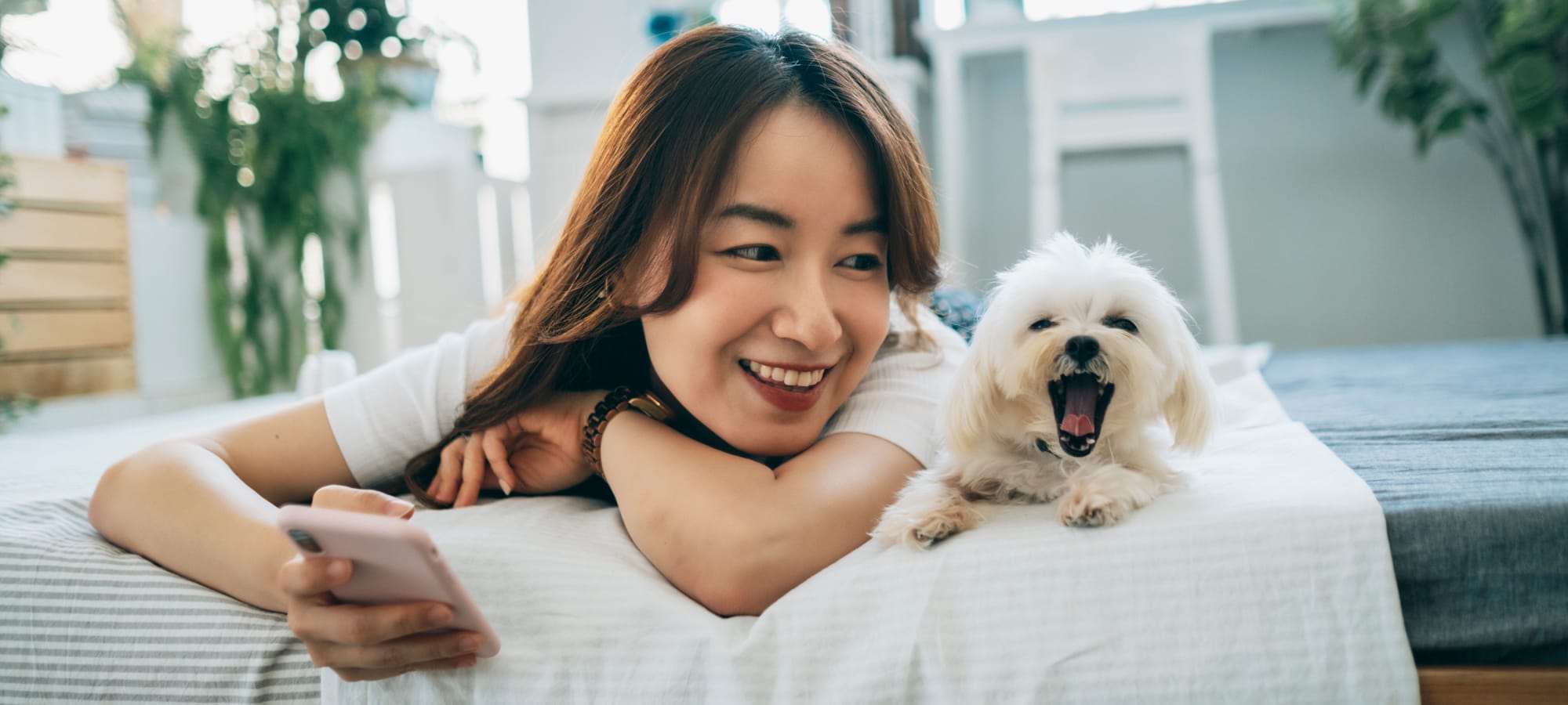 Pet policy at Water Marq in Austin, Texas