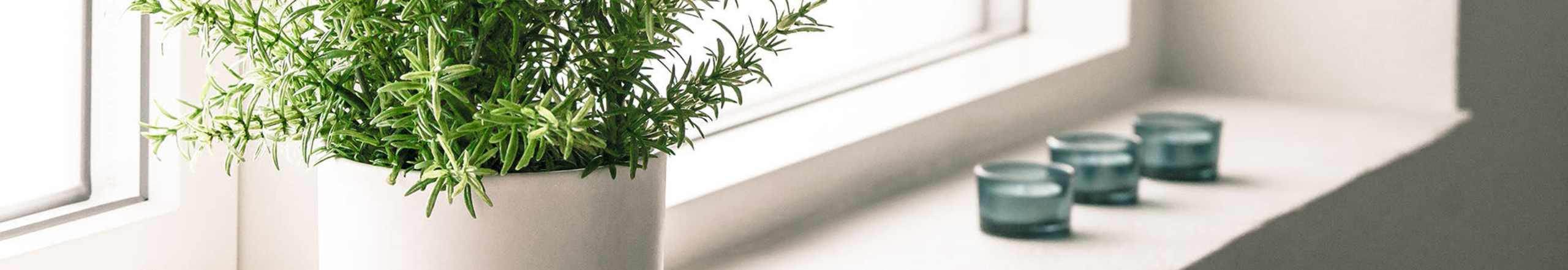 Gallery | Little Neck Village in Marion, Massachusetts