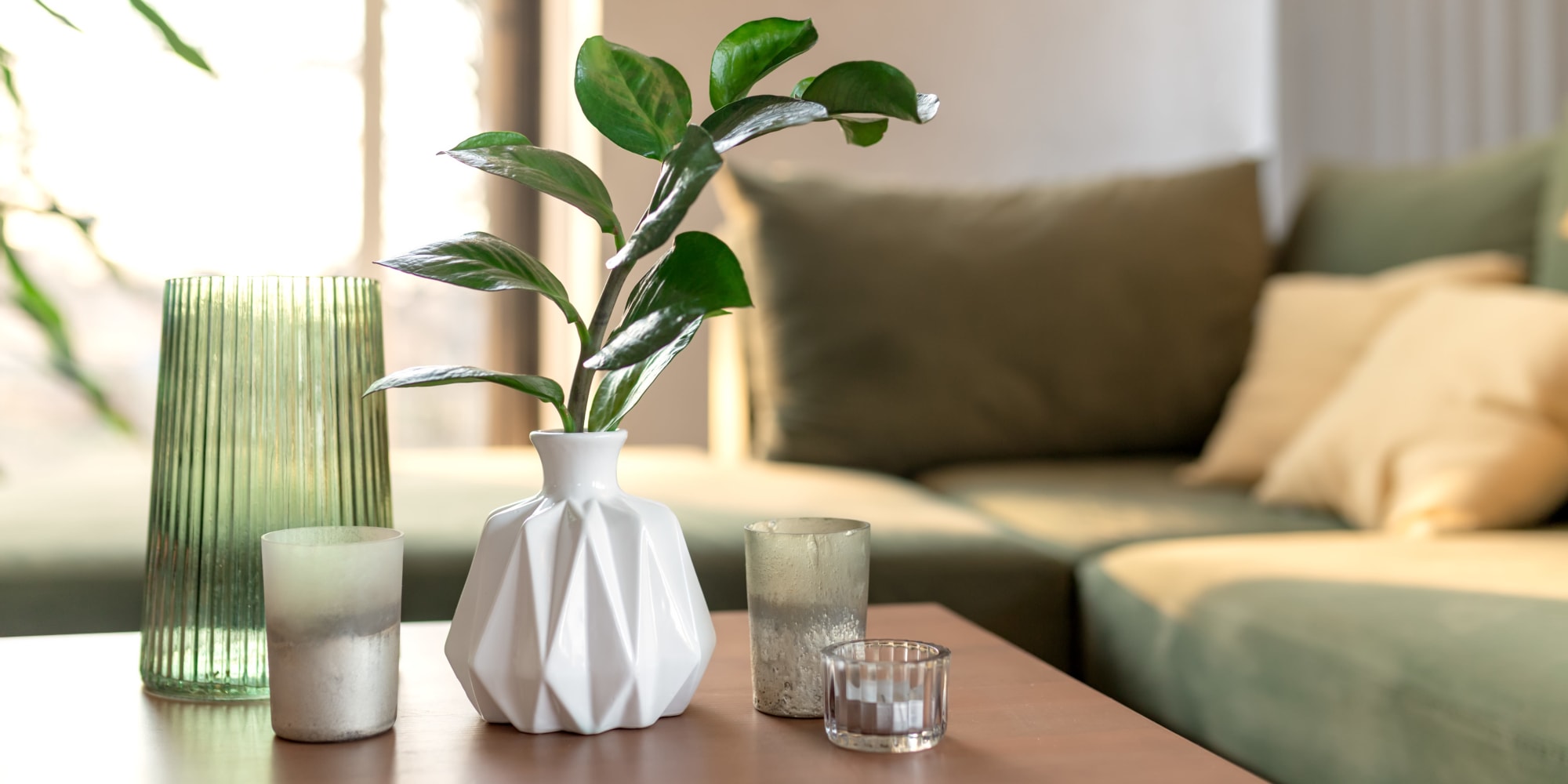 Plant on coffee table at The Sage Collection in Everett, Washington